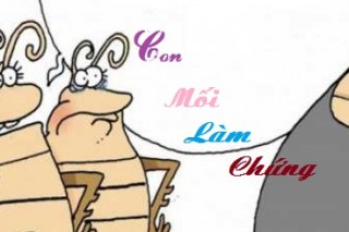 Con mối làm chứng
