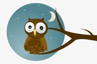 Truyện cổ tích song ngữ: The owl (Con cú)